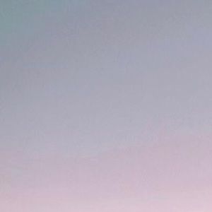 Meet your Posher, Brody